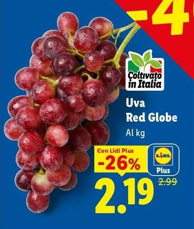 Uva Red Globe