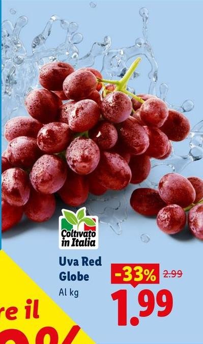 Uva Red Globe