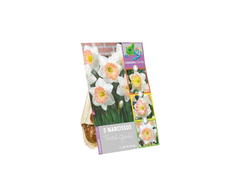 Bulbi da fiore