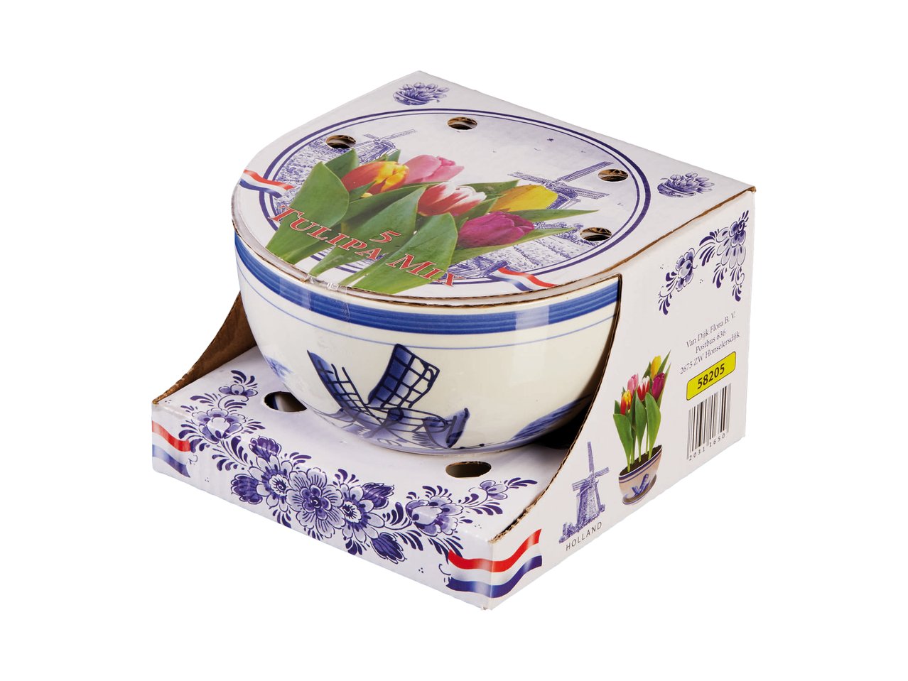 Bulbi da fiore