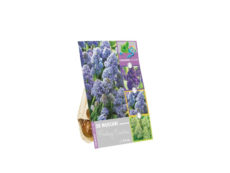 Bulbi da fiore