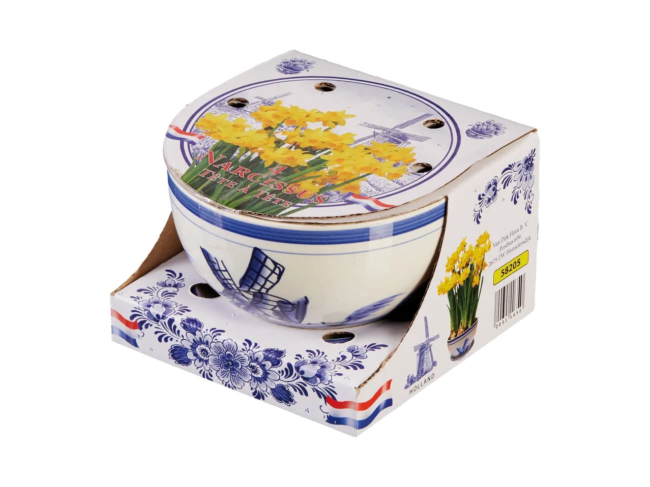 Bulbi da fiore