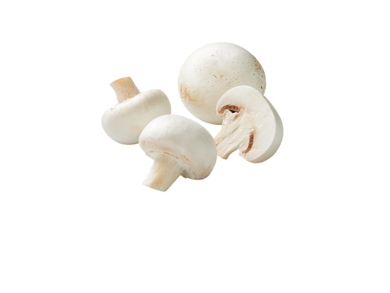 Champignon XXL