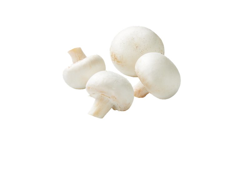 Champignon XXL