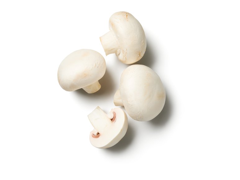 Champignon XXL