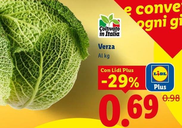 Verza