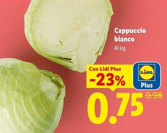 Cappuccio Bianco