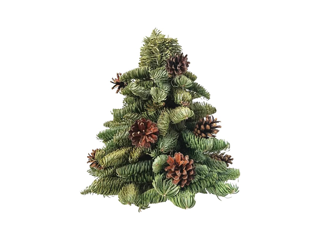Albero di Natale