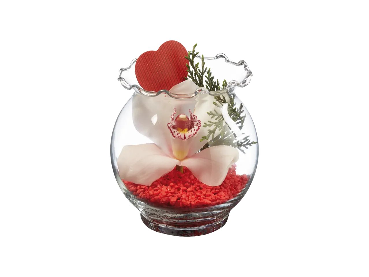 Orchidea