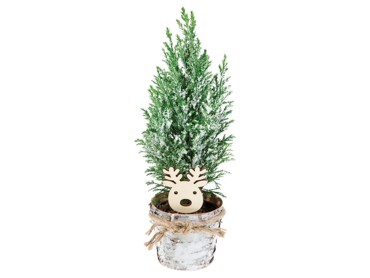 Conifere con decorazione