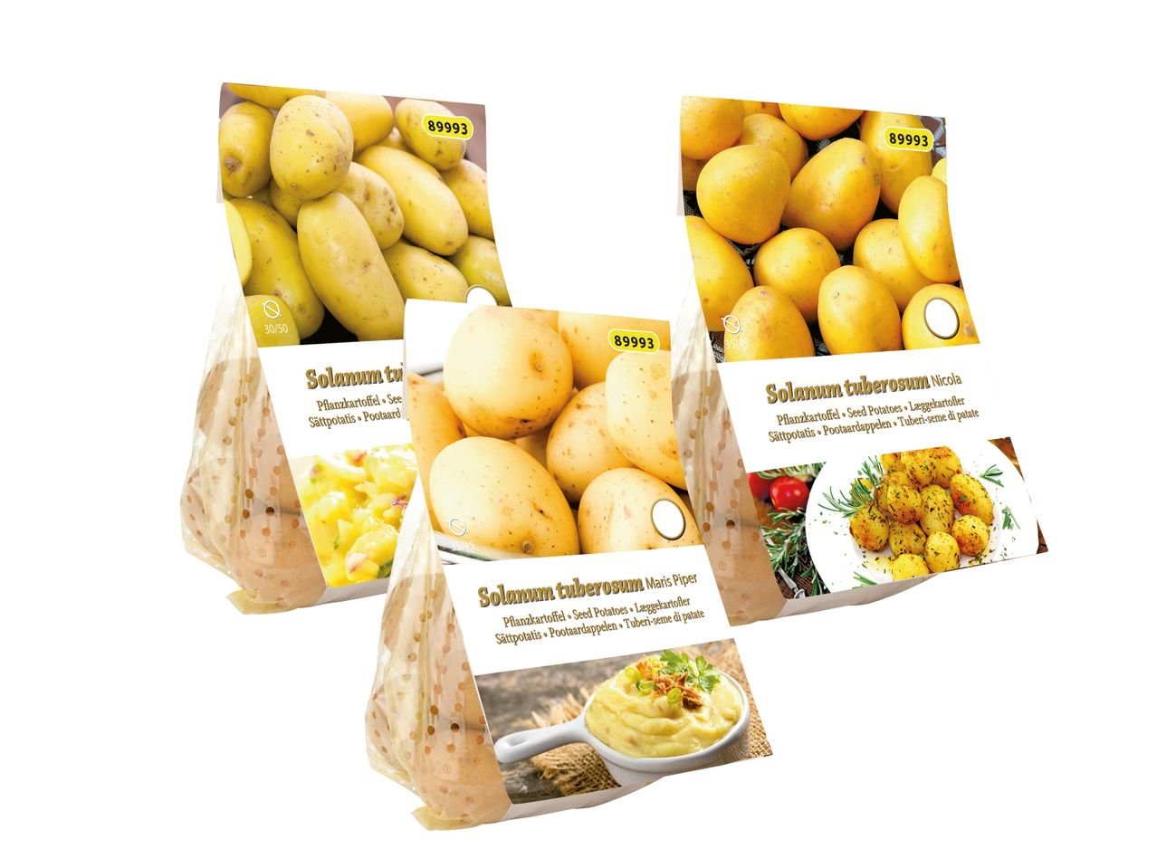 Patate da semina