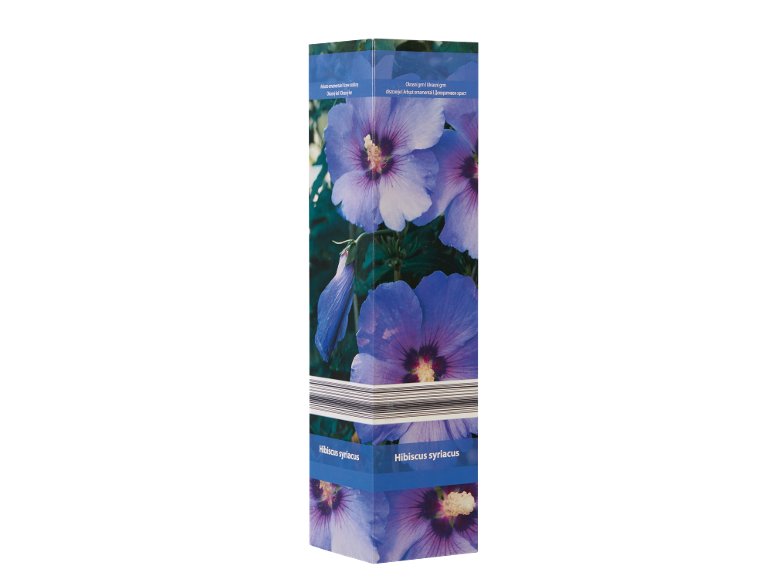 Arbusti ornamentali