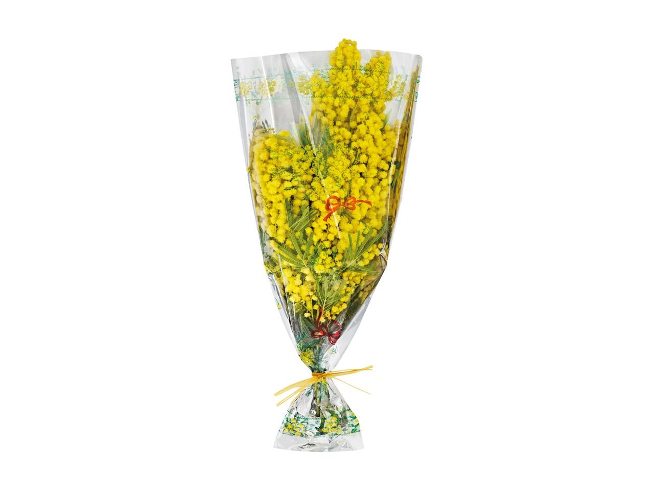 Mazzo di mimose