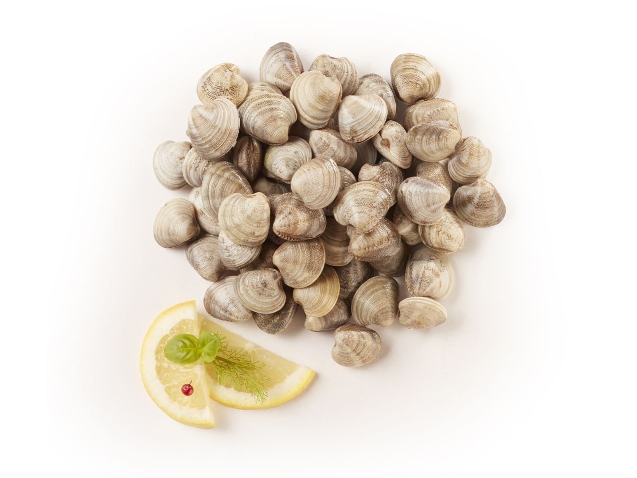 Vongole