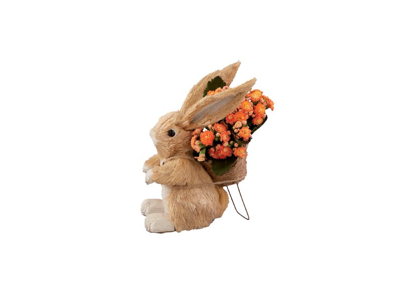 Coniglietto di Pasqua con Kalanchoe