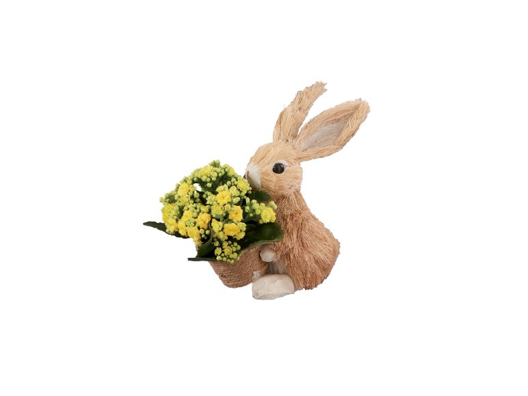 Coniglietto di Pasqua con Kalanchoe