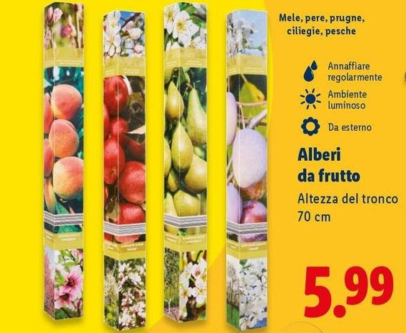 Alberi Da Frutto