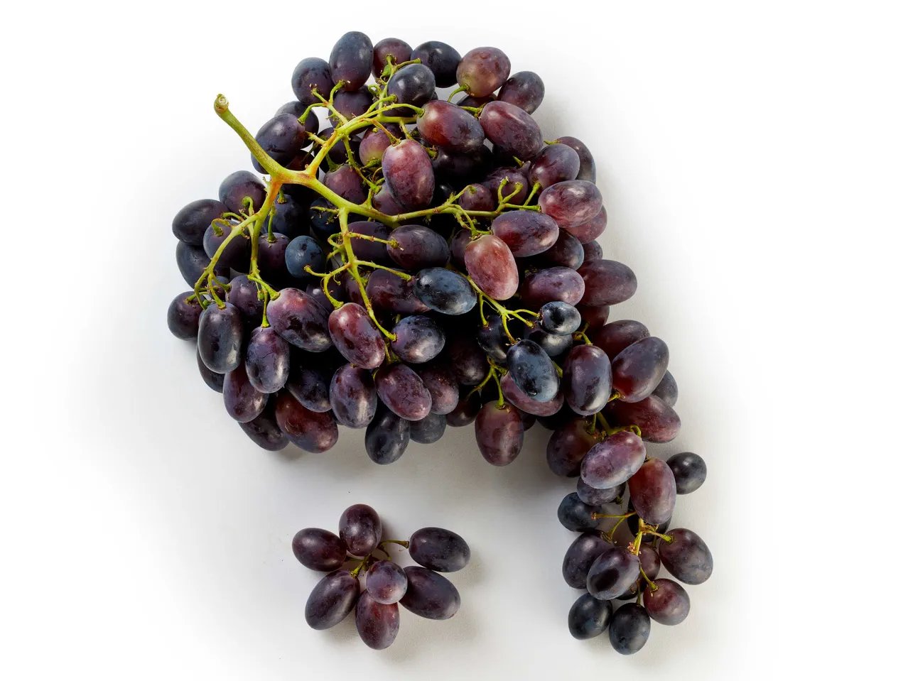 Uva nera
