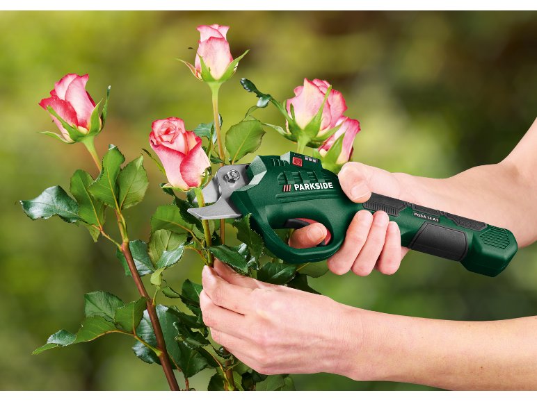 Forbice da giardinaggio ricaricabile