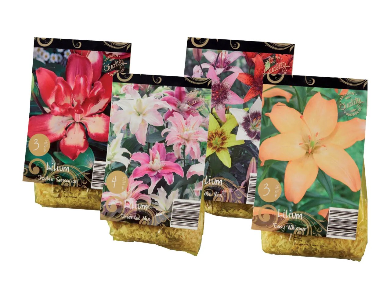 Bulbi di fiori
