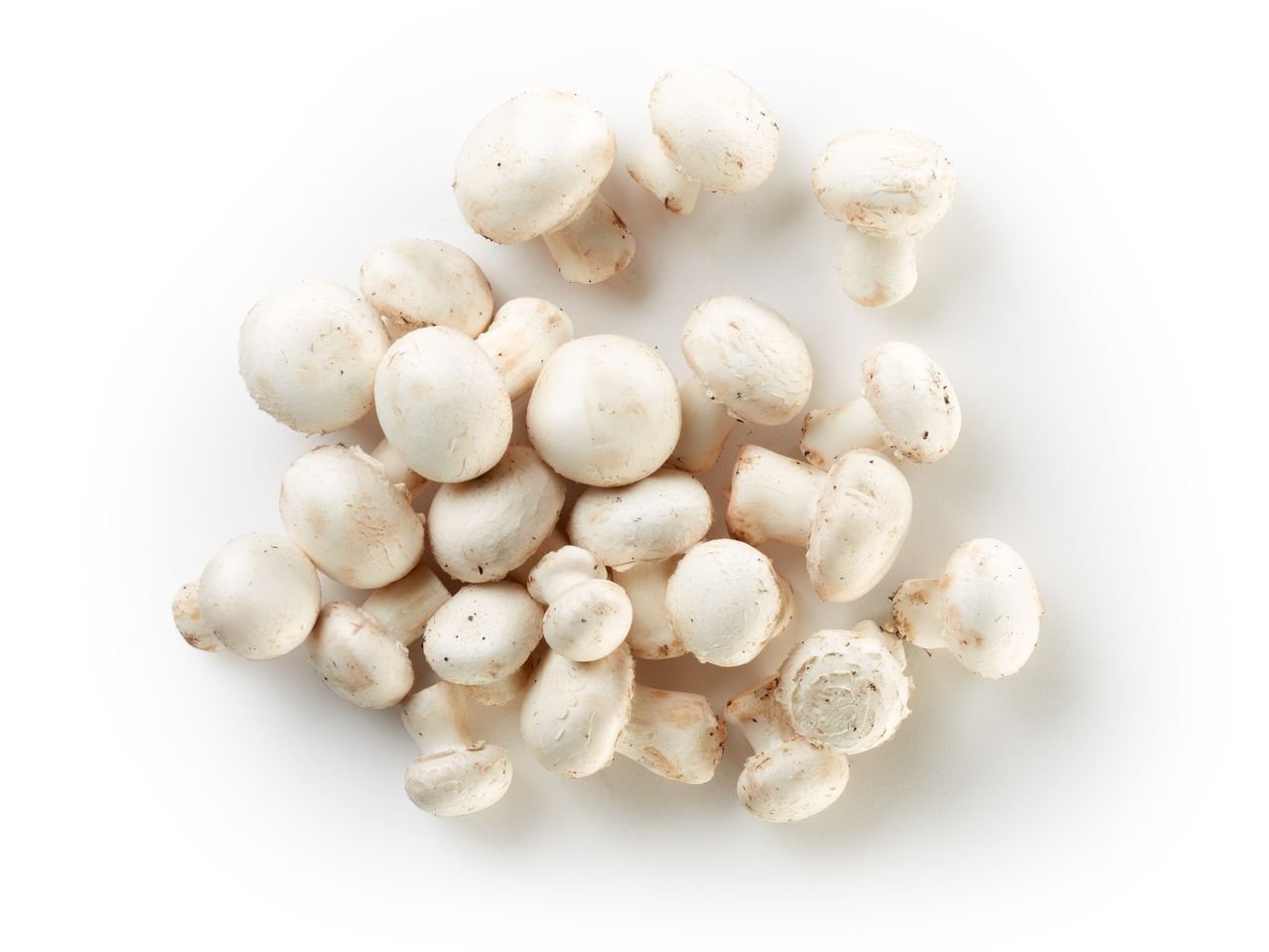 Champignon interi