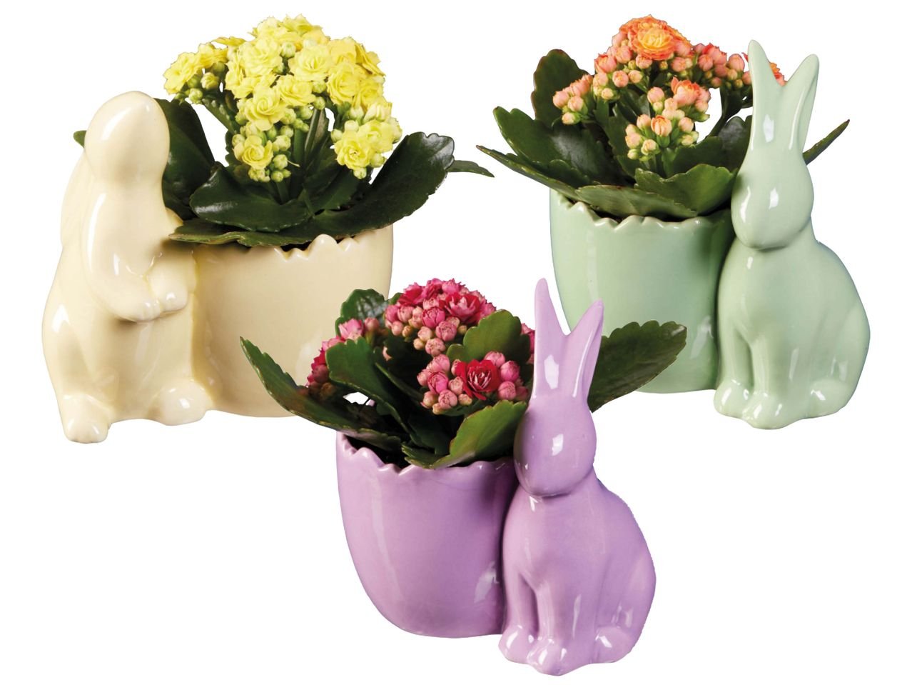 Vaso di Pasqua