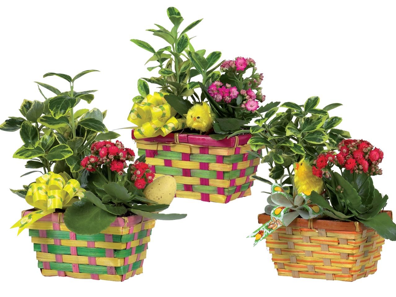 Cestino di Pasqua