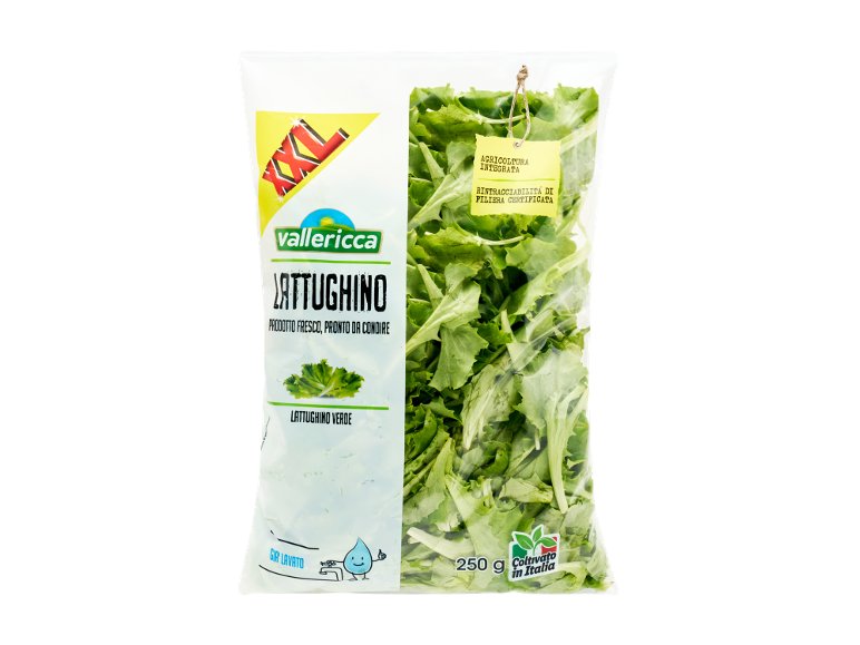 Lattughino XXL