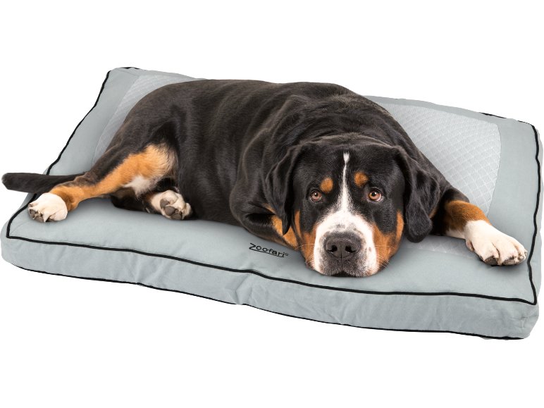 Lettino per cani a regolazione termica