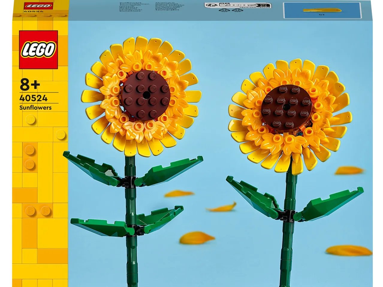 Costruzioni “fiori”