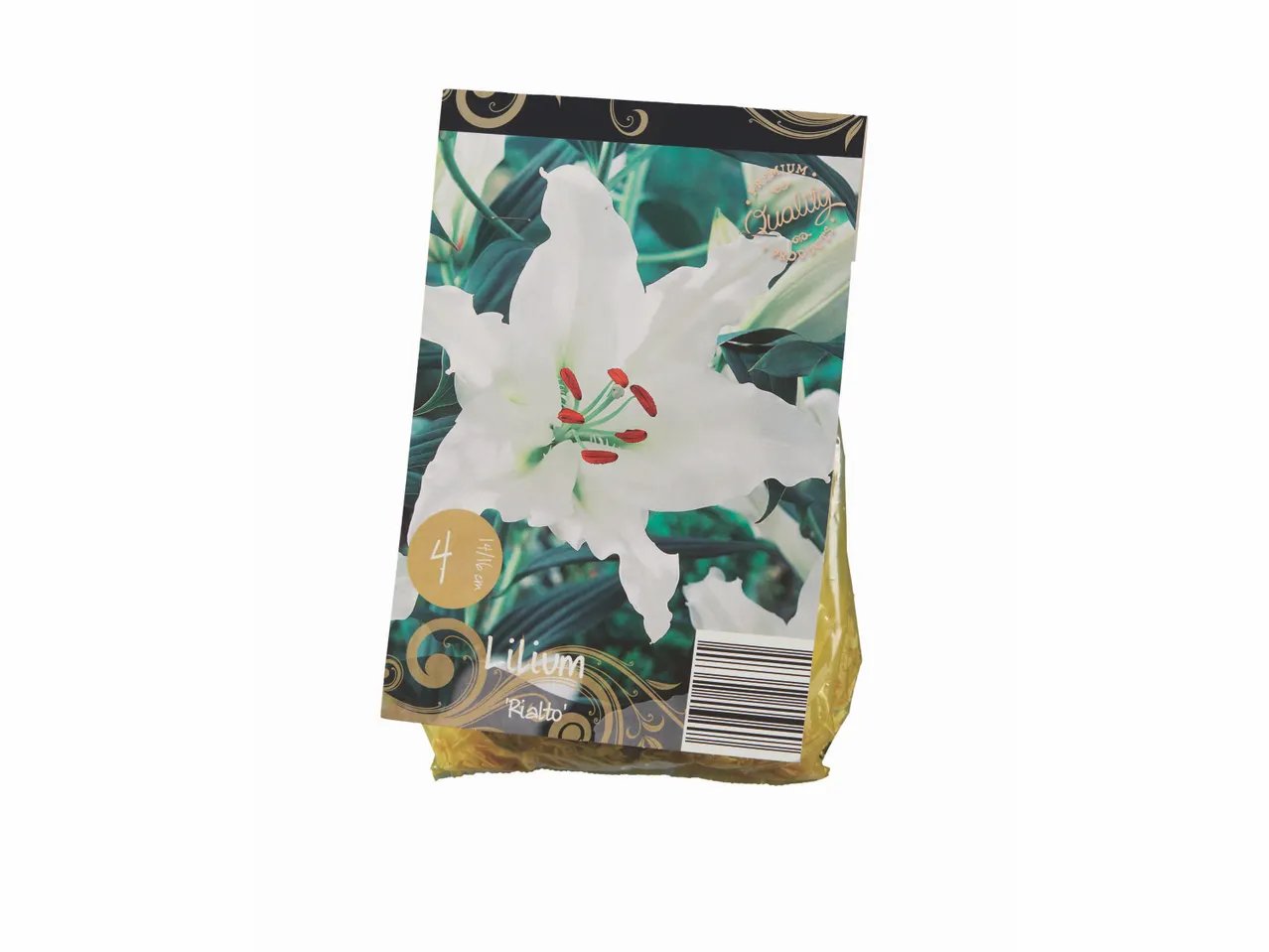 Bulbi di lilium