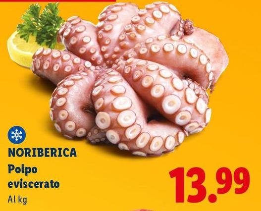 Noribèrica - Polpo Eviscerato