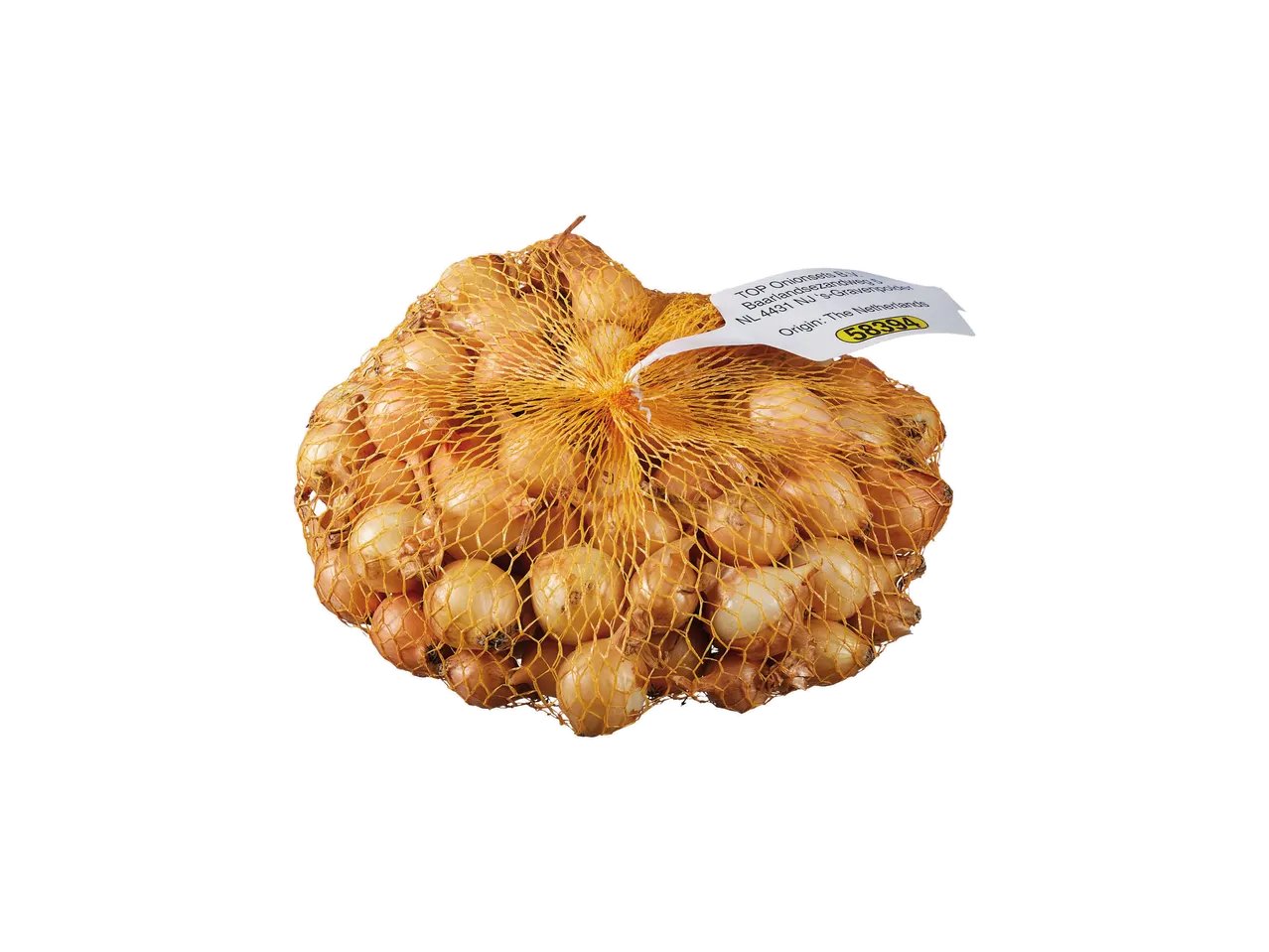 Cipolla da semina