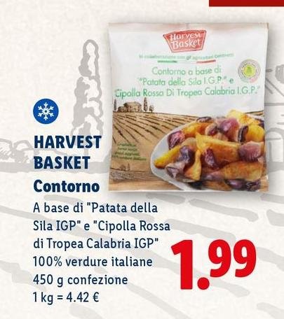 Harvest Basket - Contorno