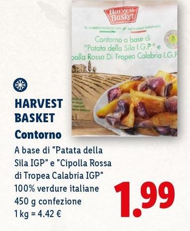 Harvest Basket - Contorno