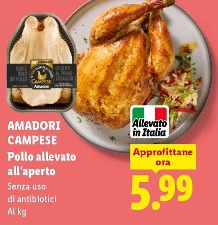 Amadori - Campese Pollo Allevato All'Aperto