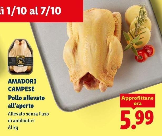 Amadori - Campese Pollo Allevato All'Aperto