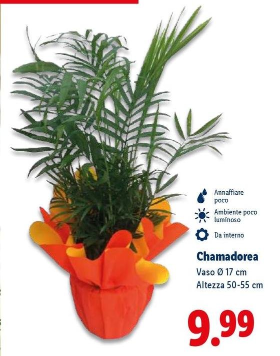 Chamadora