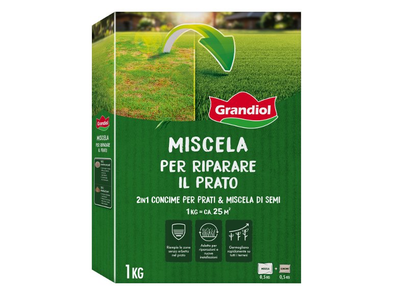 Miscela di semi per prato