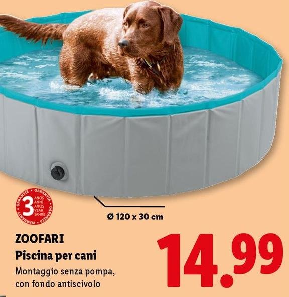 Zoofari - Piscina Per Cani