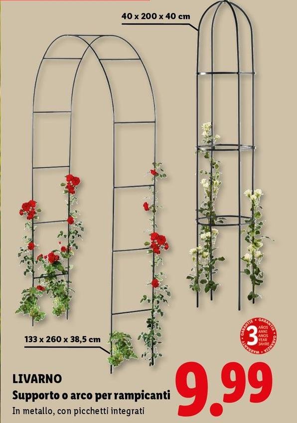 Livarno - Supporto O Arco Per Rampicanti