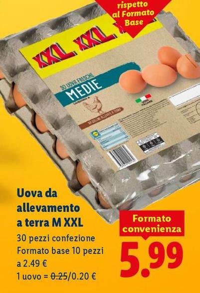 Uova Da Allevamento A Terra