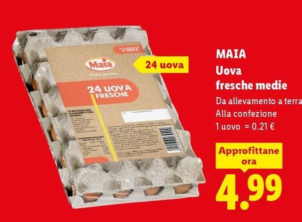 Maia - Uova Fresche Medie