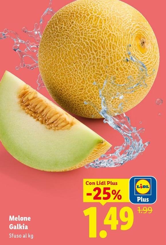 Melone Galkia