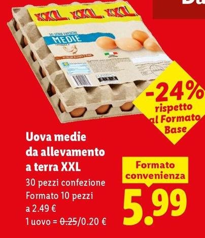 Uova Medie Da Allevamento A Terra XXL