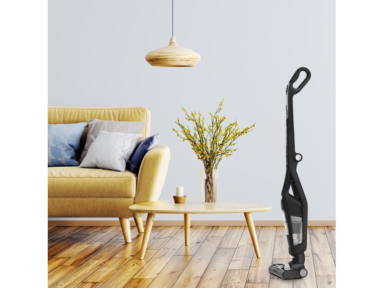 Aspirapolvere 2 in 1 "Rowenta"
