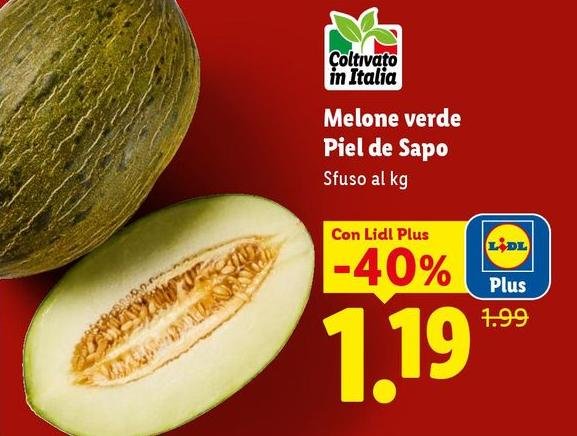Melone Verde Piel De Sapo