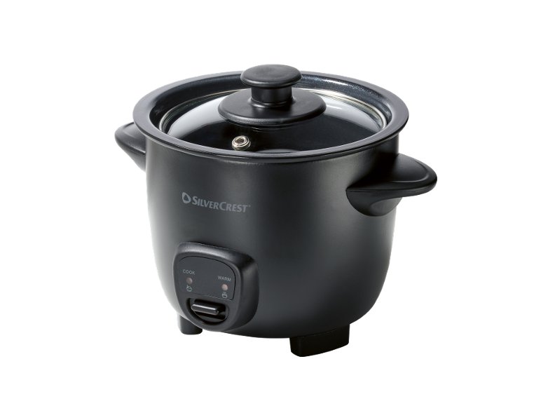 Mini cuociriso elettrico