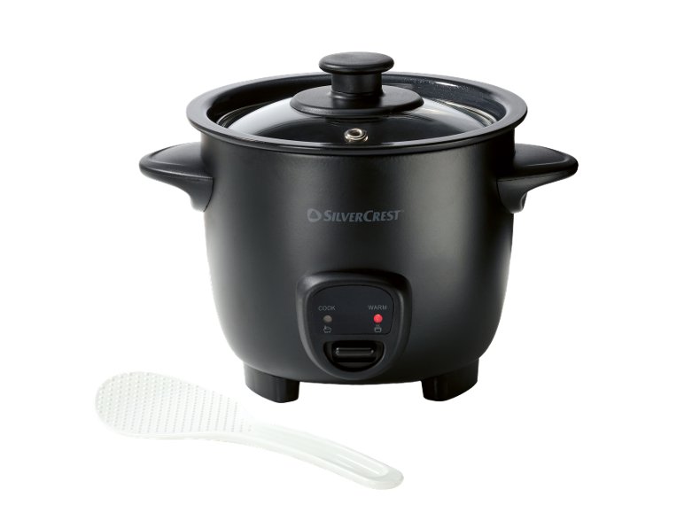 Mini cuociriso elettrico