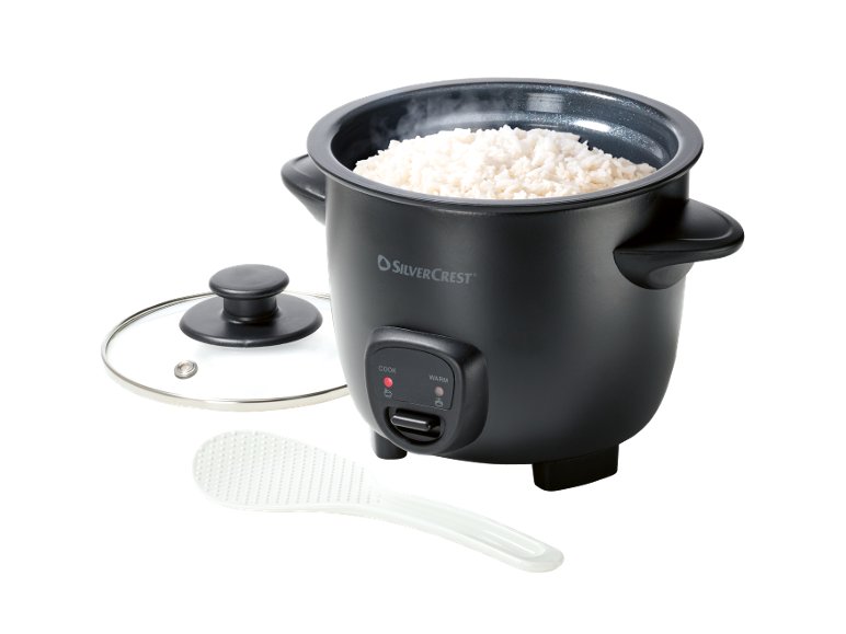 Mini cuociriso elettrico